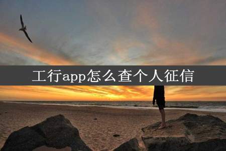 工行app怎么查个人征信