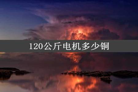 120公斤电机多少铜