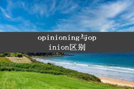 opinioning与opinion区别