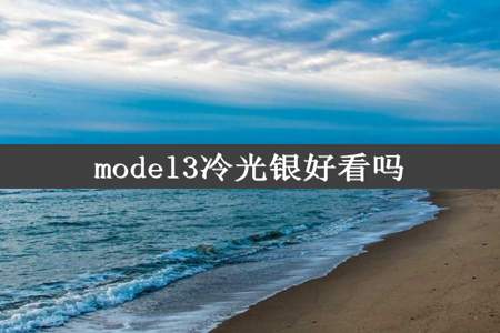 model3冷光银好看吗