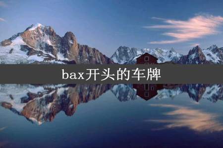 bax开头的车牌