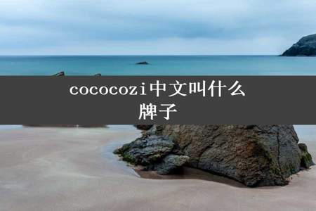 cococozi中文叫什么牌子