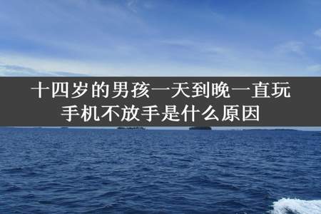 十四岁的男孩一天到晚一直玩手机不放手是什么原因