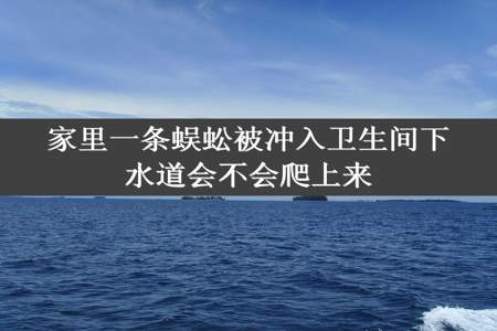 家里一条蜈蚣被冲入卫生间下水道会不会爬上来