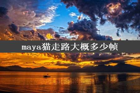 maya猫走路大概多少帧