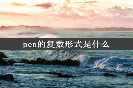 pen的复数形式是什么