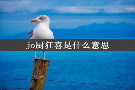 jo厨狂喜是什么意思