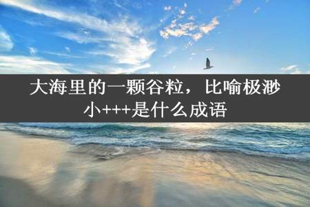 大海里的一颗谷粒，比喻极渺小+++是什么成语