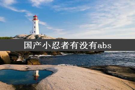 国产小忍者有没有abs