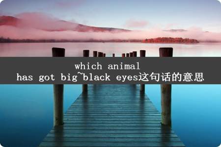 which animal has got big~black eyes这句话的意思