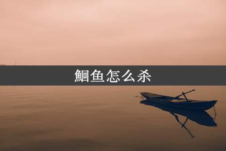 鮰鱼怎么杀