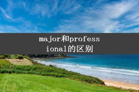 major和professional的区别