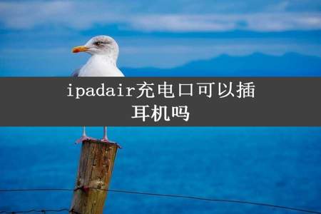 ipadair充电口可以插耳机吗