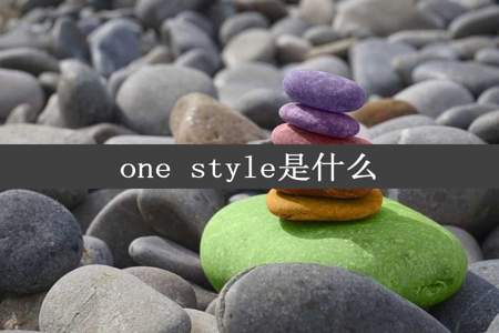 one style是什么