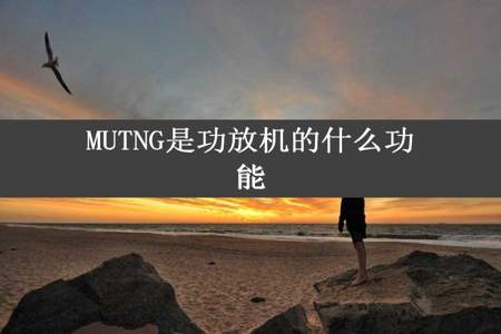 MUTNG是功放机的什么功能