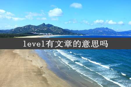 level有文章的意思吗