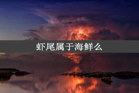 虾尾属于海鲜么