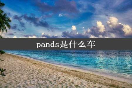 pands是什么车