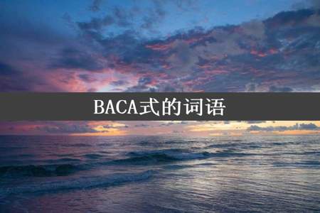 BACA式的词语