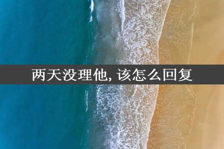 两天没理他,该怎么回复