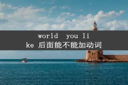 world  you like 后面能不能加动词