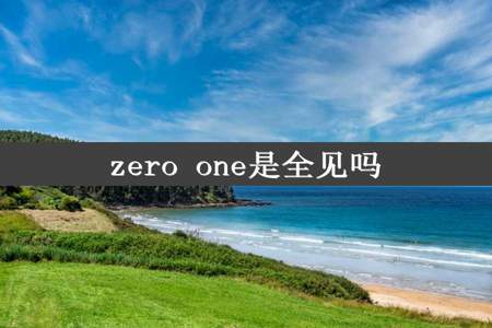 zero one是全见吗