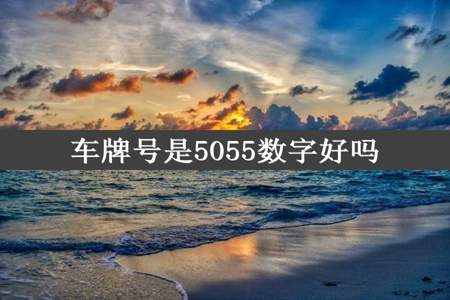 车牌号是5055数字好吗