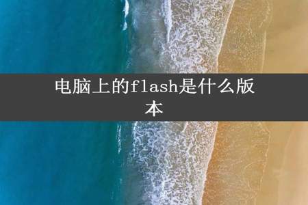 电脑上的flash是什么版本