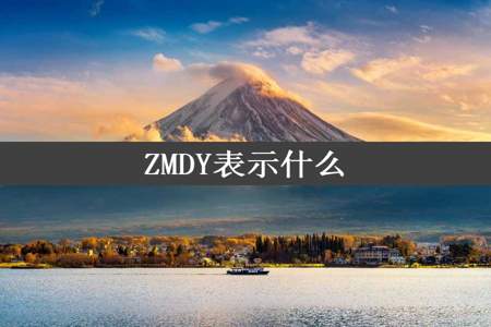 ZMDY表示什么