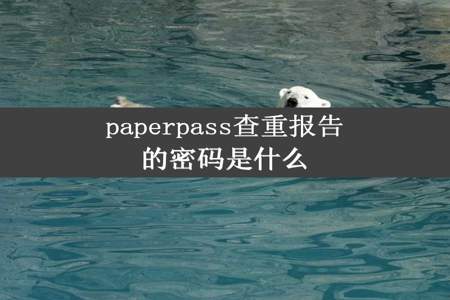 paperpass查重报告的密码是什么