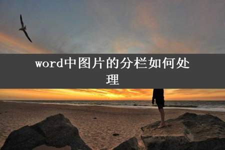 word中图片的分栏如何处理