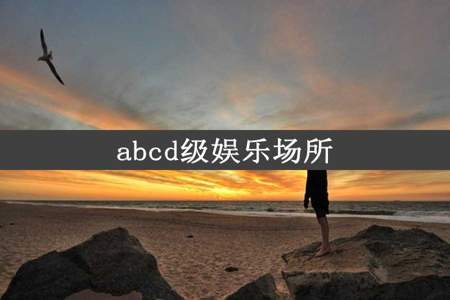 abcd级娱乐场所