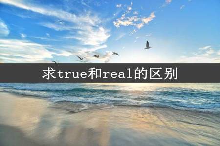 求true和real的区别