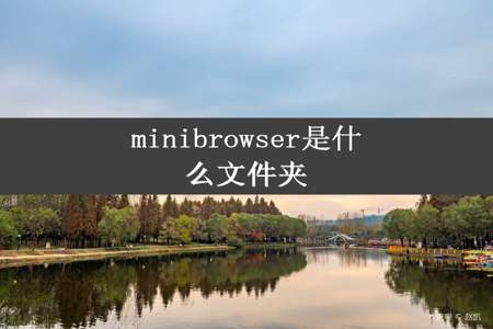 minibrowser是什么文件夹