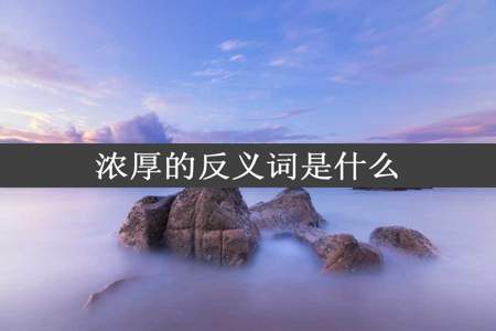 浓厚的反义词是什么