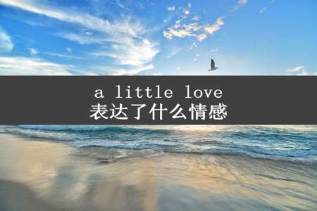 a little love表达了什么情感