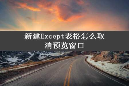 新建Except表格怎么取消预览窗口