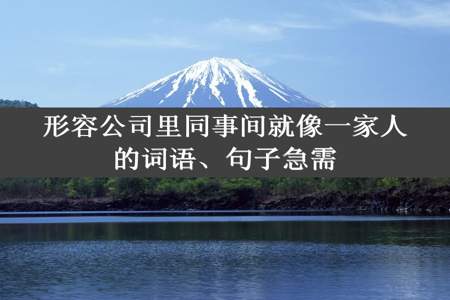 形容公司里同事间就像一家人的词语、句子急需