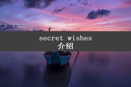 secret wishes介绍