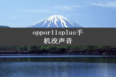 oppor11splus手机没声音