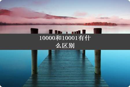 10000和10001有什么区别