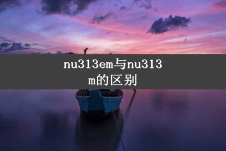 nu313em与nu313m的区别