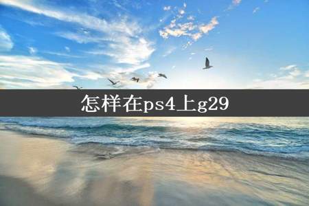 怎样在ps4上g29