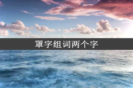 罩字组词两个字