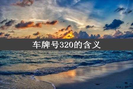 车牌号320的含义