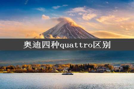 奥迪四种quattro区别