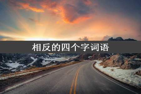 相反的四个字词语