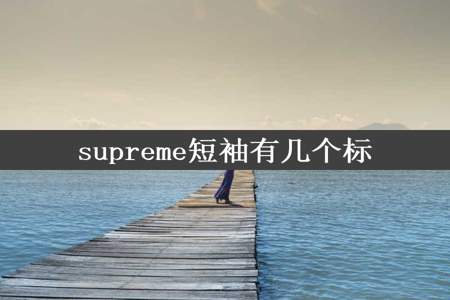 supreme短袖有几个标