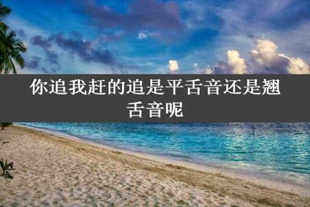 你追我赶的追是平舌音还是翘舌音呢