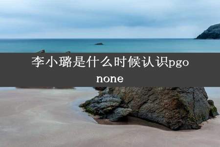 李小璐是什么时候认识pgonone